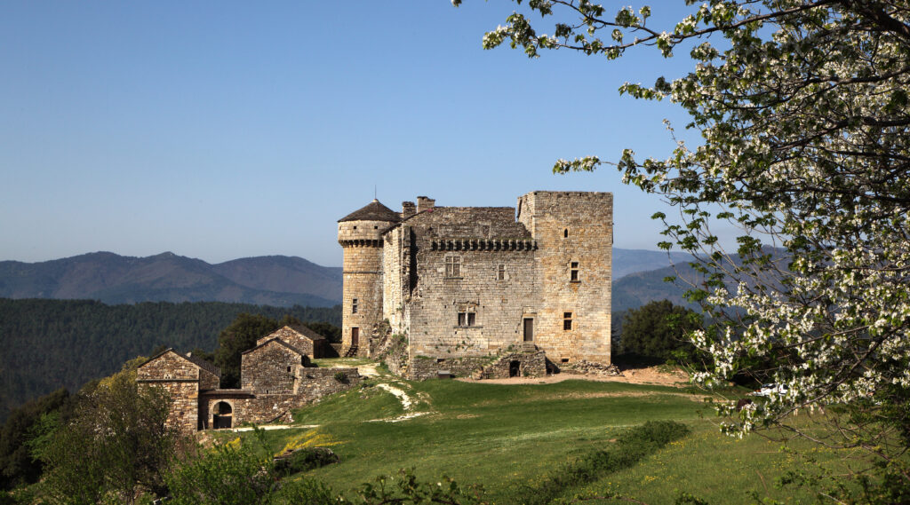 Le_château_d'Aujac_sur_éperon_barré